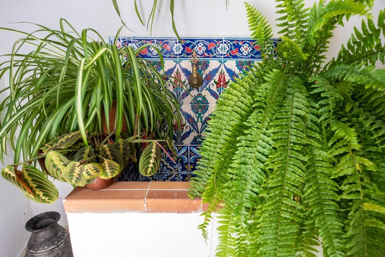 La Casa Del Agua Villa Vejer de la Frontera Spain